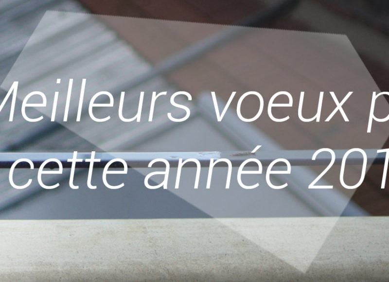 exposition belles rencontres